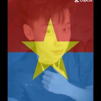 nhạc nền - cá heo _chịp 🐬
