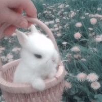 オリジナル楽曲 - み 🐣