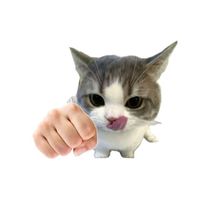 star_nyan14