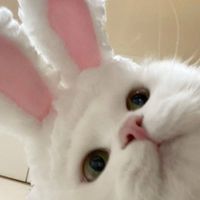 linh_nhii20