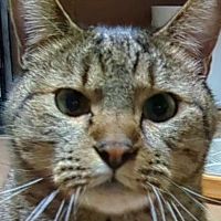 nationalnekographic