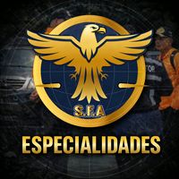 swat.force.academy.esp