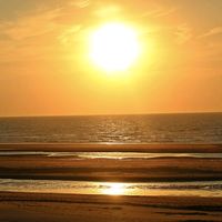 เสียงต้นฉบับ - SUN OF THE BEACH