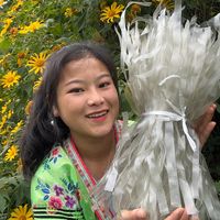 sungbau2002