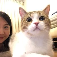 malongthecat