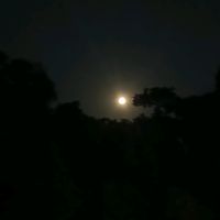 seathong7