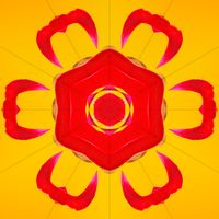 fahad_creator_