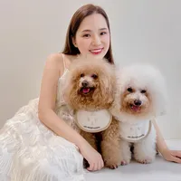 original sound - bichon_poodle