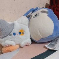 pokedlzxm9i