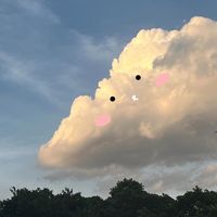 skyvibe_15