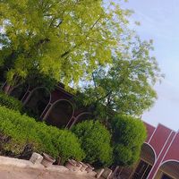 teacherjee5883
