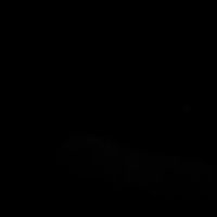 290403.mj