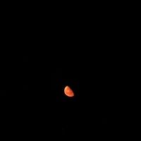 mahli_63
