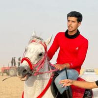 sajjad.al.jaliwi