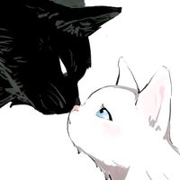 conigat
