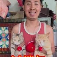 tieubanhbao50