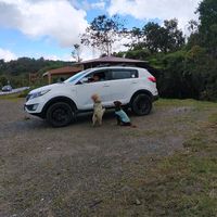 dahindavidreyesgarcia1