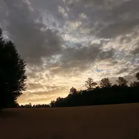 original sound - joacoo0ook