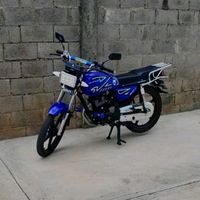 reinoaraujo10