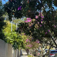 kasari by yabesh thapa