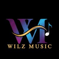 suara asli - W  I  L  Z    M  U  S  I  C