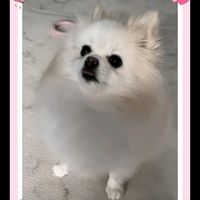 오리지널 사운드 - 💗지영💗부계정