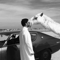 الصوت الأصلي
