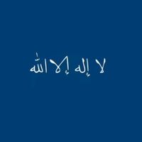 kinghamza564