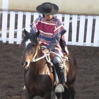 pipe_charro21