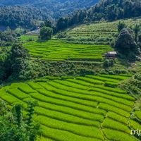 supinya_099