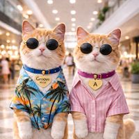 suara asli - Groove Meow ✨