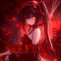 ss.flya