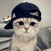 suara asli - DJ FVNKY