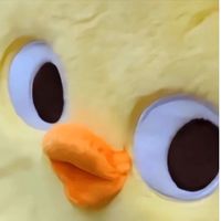 cxllmepaeng19