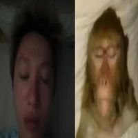 _yoliart