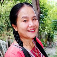 เสียงต้นฉบับ - ยายภัก.คนตระการพืชผล