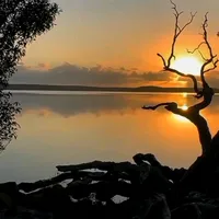 original sound - gexaja1