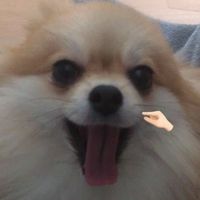 seya_ka