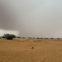 alnashri78