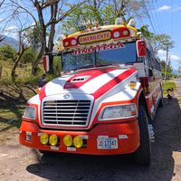 eldelosbuses426