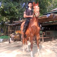 si.thu.min034