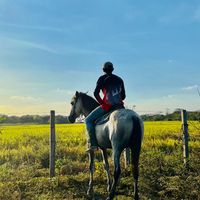 luisrondon278