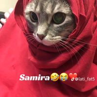 beuhsamira