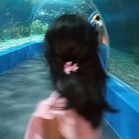 original sound - Brienna janed