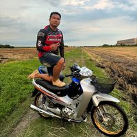 bird_1211