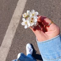 jiy_an_sw_