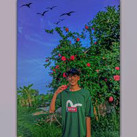 haddi50003