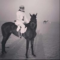 الصوت الأصلي - ح