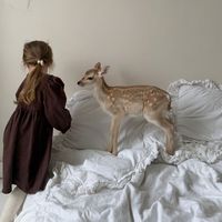 maha_5119090