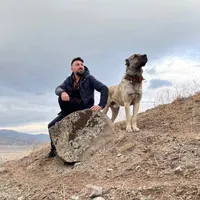 original sound - yunus_eldemir